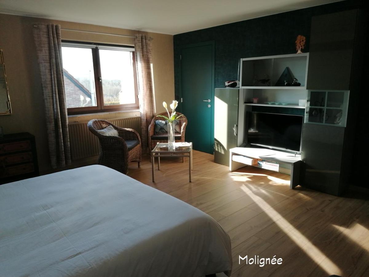 Le Cerisier Bed & Breakfast Bioul Exterior photo